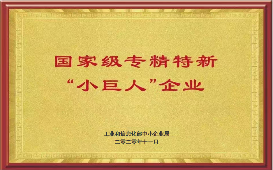 国家级专精特新“小巨人”企业